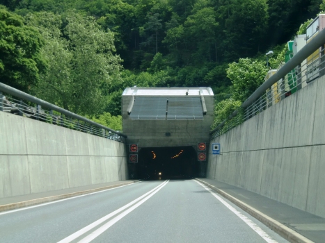 Mont Chemin Tunnel western portal