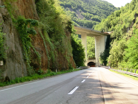Campodazzo I Tunnel northern portal and, above, A22 Sciliar Viaduct