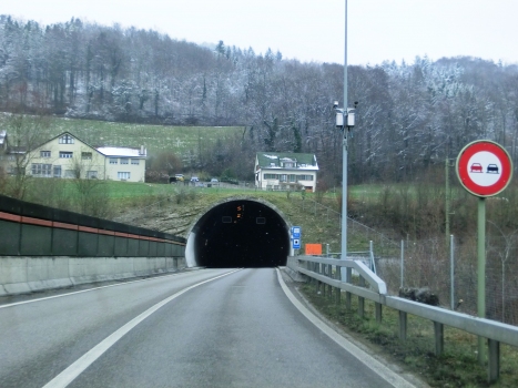 Chienberg Tunnel eastern portal
