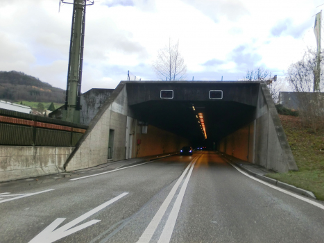 Chienberg Tunnel northern portal