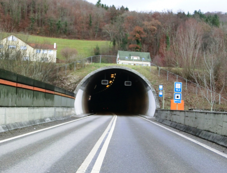 Chienberg Tunnel southern portal
