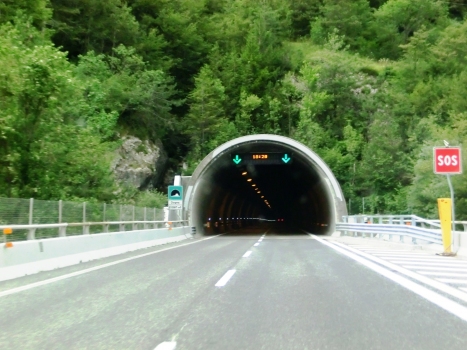 Dogna Tunnel southern portal
