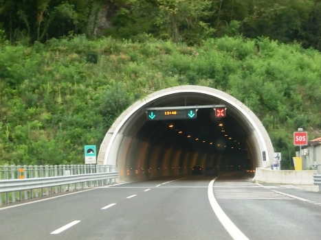 Lago Tunnel southern portal