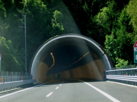 Mena Tunnel northern portal