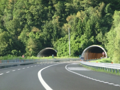 Mena Tunnel southern portals