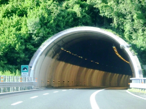 Mena Tunnel southern portal