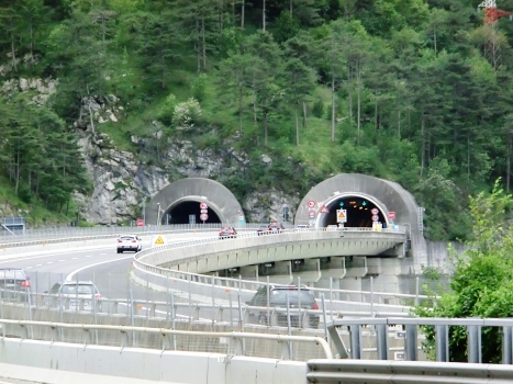 Cadramazzo Viaduct: Cadramazzo Viaduct and, in the back, Raccolana Tunnel northern portals