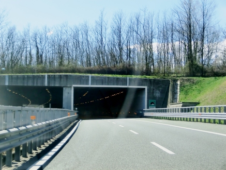 Bogogno Tunnel eastern portals