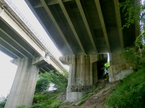 Bric-Ronco Viaduct