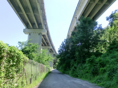 Buzero Viaduct