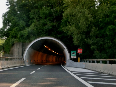 Campiglia Tunnel