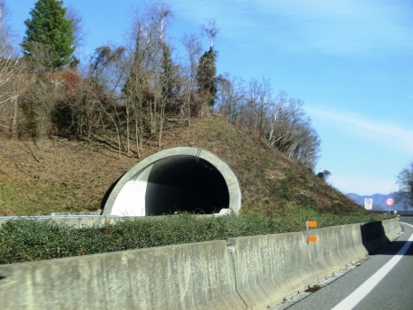 Campiglia Tunnel southern portal