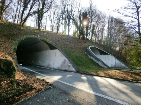 Carpugnino Tunnel northern portals