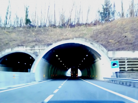 Fontaneto 2 Tunnel western portals