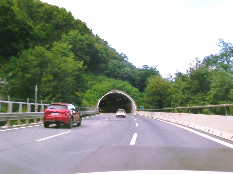 Garré Tunnel southern portal