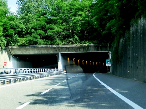 Le Cave Tunnel northern portals