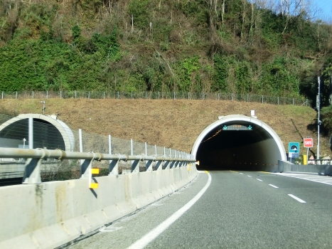 Massino Visconti Tunnel southern portals