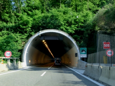 Tunnel de Mottarone I