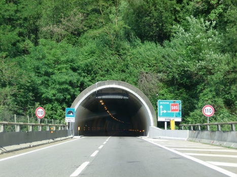 Mottavinea Tunnel northern portal