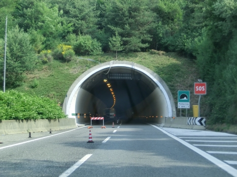 Mottavinea-Tunnel