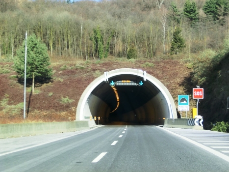 Mottavinea Tunnel southern portal