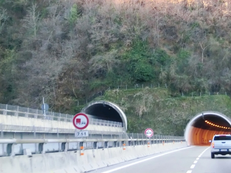 Tunnel Stresa 1