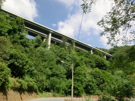 Tianin Viaduct