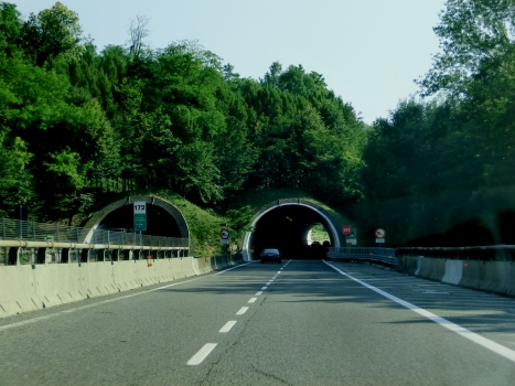 Tiasca 1 Tunnel northern portals
