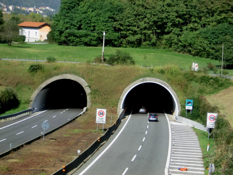 Tiasca 1 Tunnel southern portals