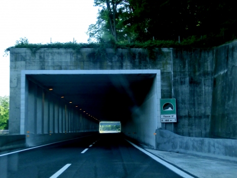 Tiasca 2 Tunnel northern portal