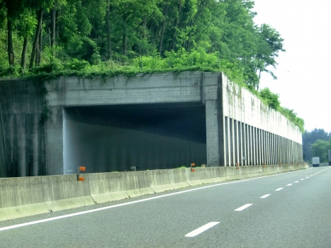Tiasca 2 Tunnel southern portal