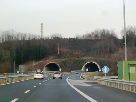 Valsesia Tunnel western portals