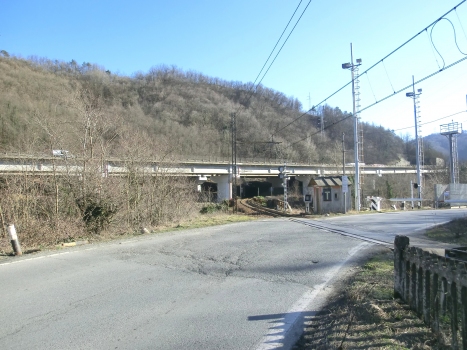 Curli Viaduct