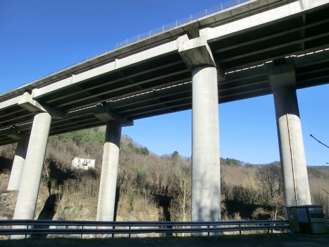 Stura V Viaduct