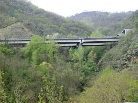 Zucca Viaduct and Poggio Tunnel southern portals