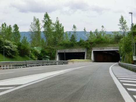 Paraschegge Tunnel northern portals