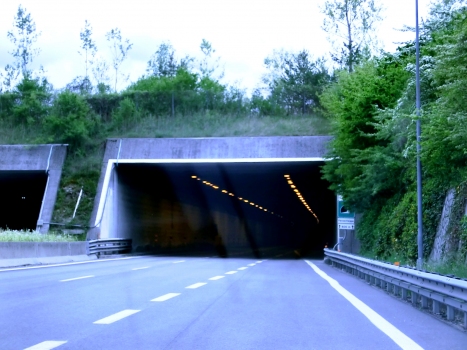 Paraschegge Tunnel northern portals