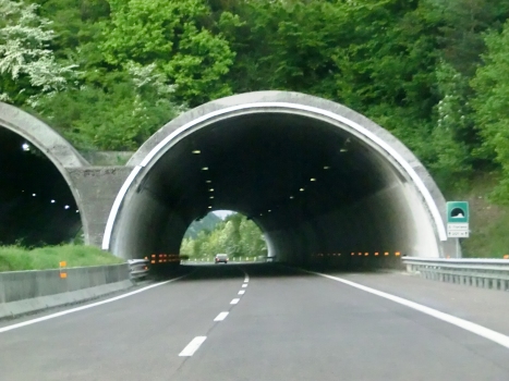 Tunnel de San Floriano