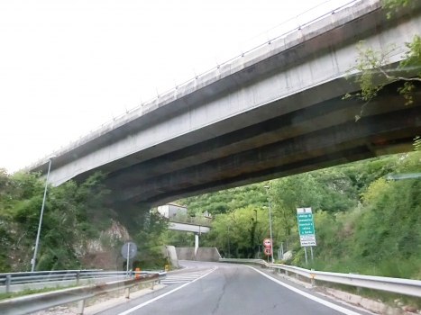 Autobahnbrücke Meschio