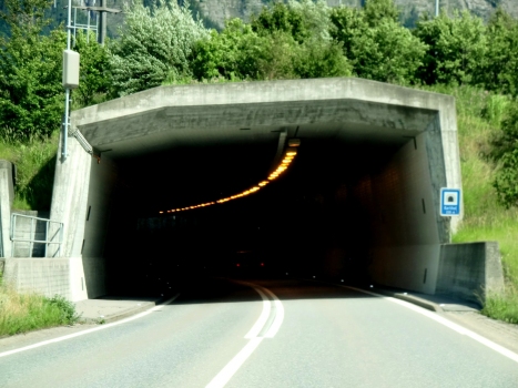 Karlihof Tunnel western portal