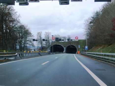 Eich Tunnel southern portals