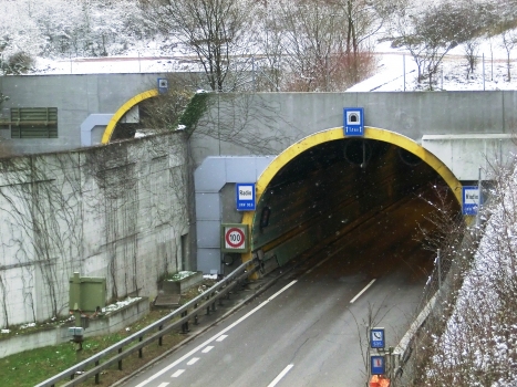 Arisdorf Tunnel northern portal