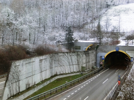 Arisdorf Tunnel northern portal