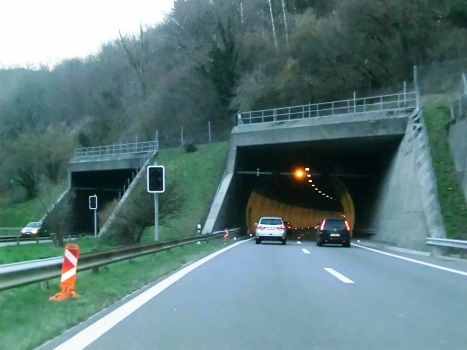 Dosso di Taverne Tunnel northern portals
