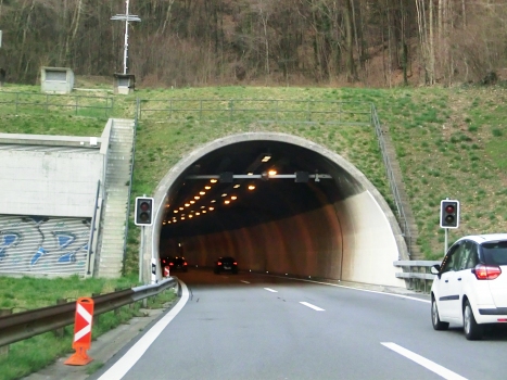 Dosso di Taverne Tunnel southern portal