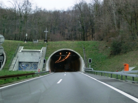 Dosso di Taverne Tunnel southern portals