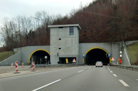 Ebenrain Tunnel northern portals