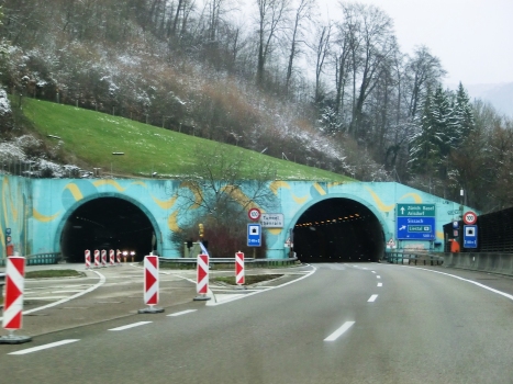 Ebenrain Tunnel southern portals