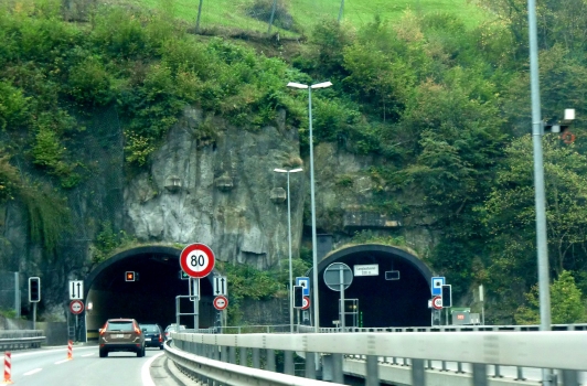 Langlaui Tunnel northern portals