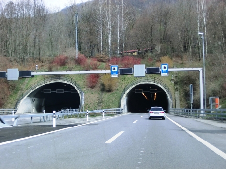 Monte Ceneri Tunnel southern portals